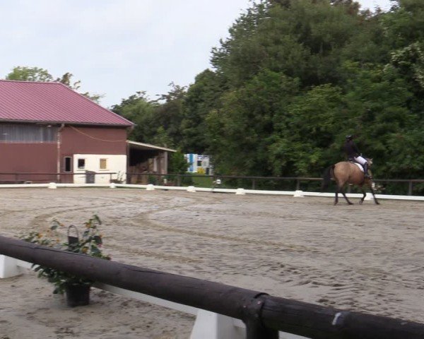 Reitturnier Marienheide-Kempershöhe 2025