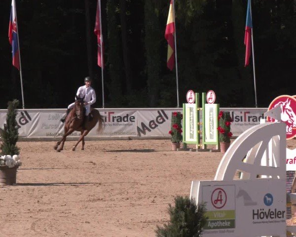 Reitturnier Ranshofen - Braunau am Inn 2025