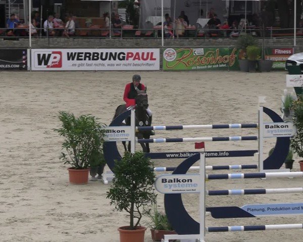Reitturnier Görlitz 2025