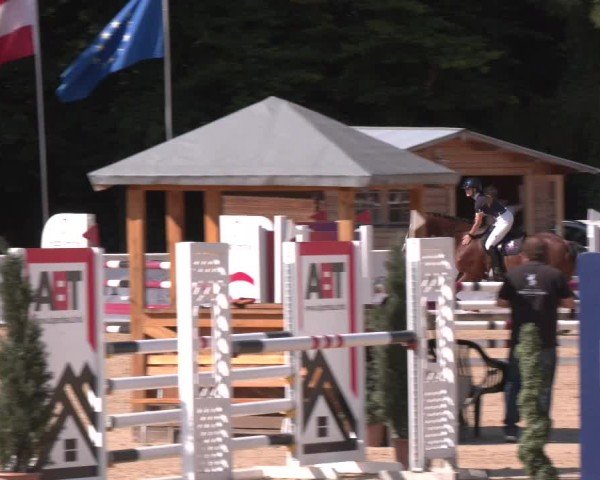 Reitturnier Ranshofen - Braunau am Inn 2025