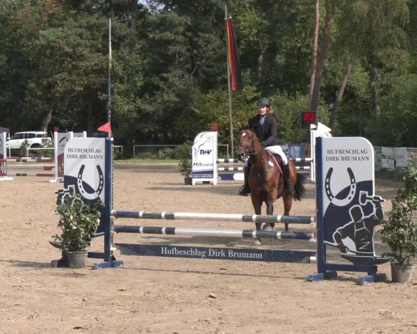 Reitturnier Velen 2025