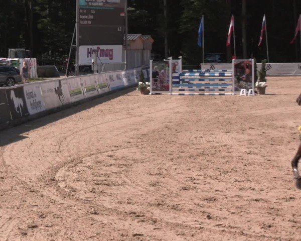 Reitturnier Ranshofen - Braunau am Inn 2025