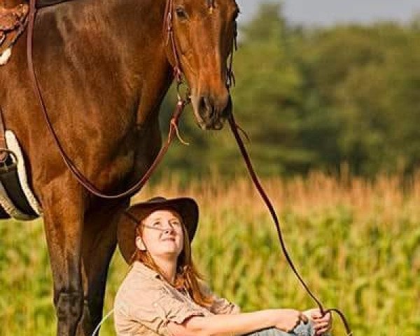 horse Patricia 139 (Westphalian, 1993, from Pessoa)