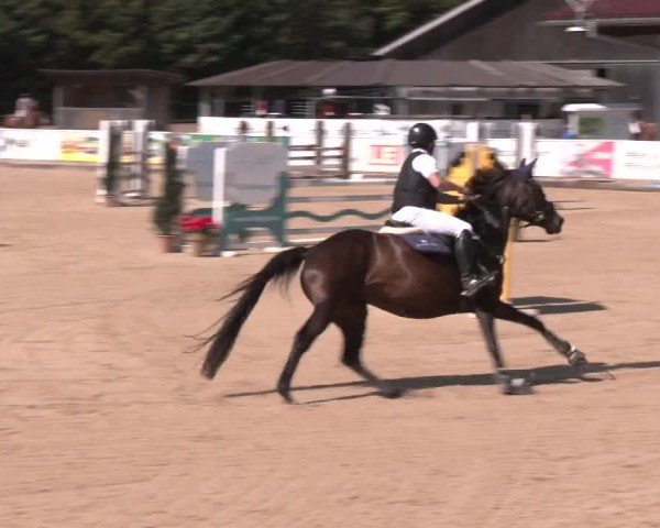Reitturnier Ranshofen - Braunau am Inn 2025