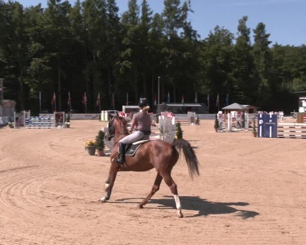 Reitturnier Ranshofen - Braunau am Inn 2025