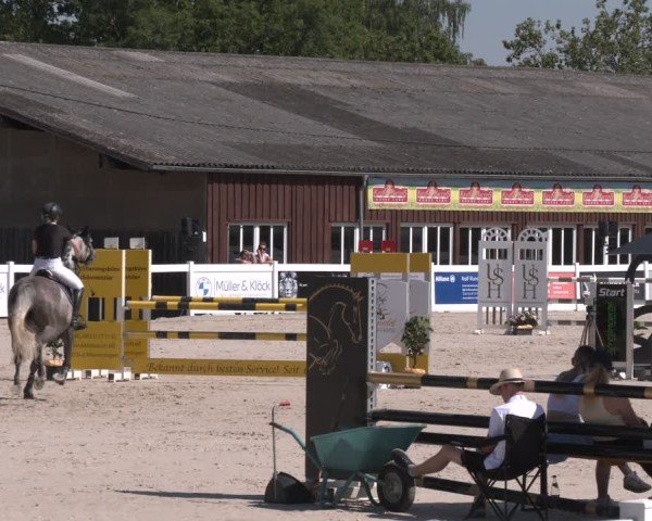 Reitturnier Memmingen 2025