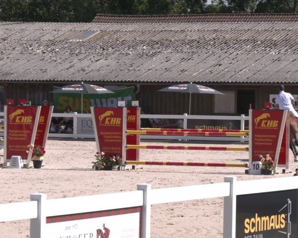 Reitturnier Memmingen 2025