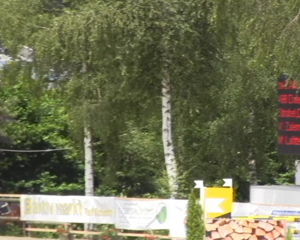 Schwerte - Gut Kückshausen 2014