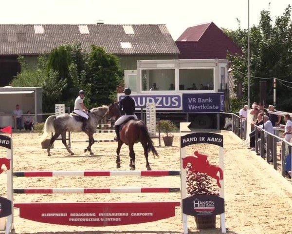 Reitturnier Behrendorf 2025