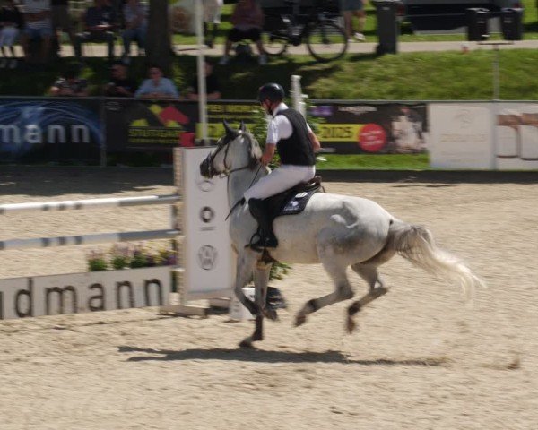 Reitturnier Heuchlingen 2025