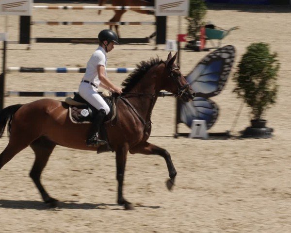 Reitturnier Heuchlingen 2025