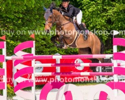 broodmare Lexie III (anglo european sporthorse, 2009, from Calvaro Z)