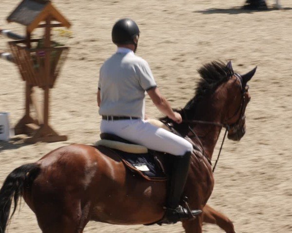Reitturnier Heuchlingen 2025