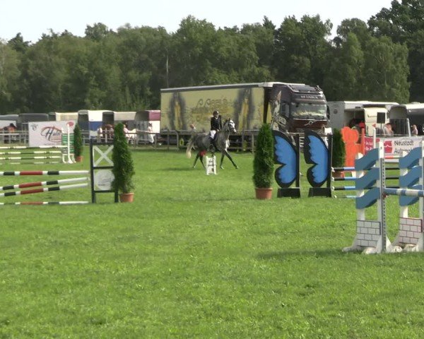 Reitturnier Dobra 2025