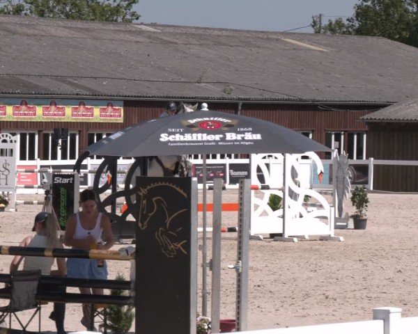 Reitturnier Memmingen 2025