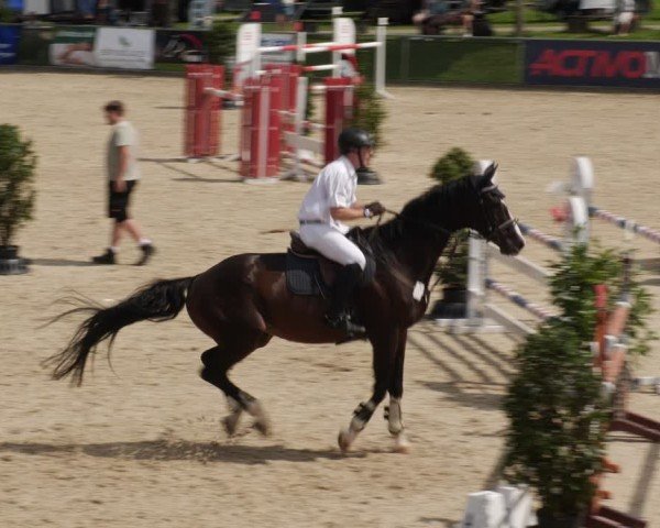 Reitturnier Heuchlingen 2025