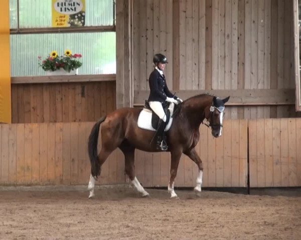 Schwerte - Gut Kückshausen 2014