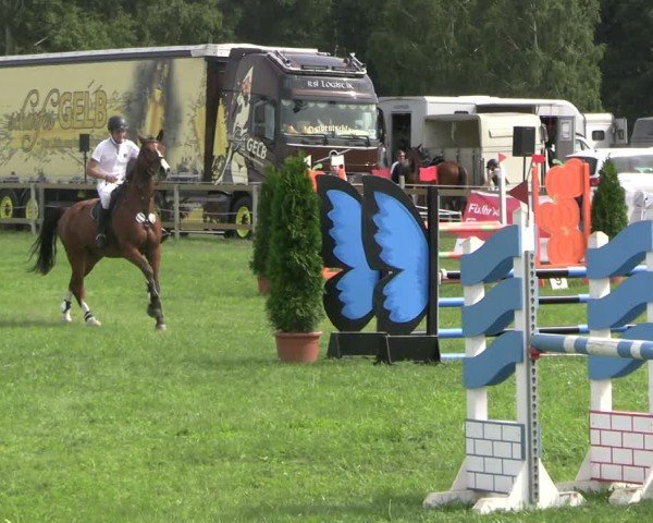 Reitturnier Dobra 2025