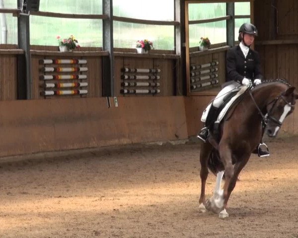 Schwerte - Gut Kückshausen 2014