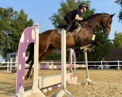 broodmare Baloubetty 3 (Hanoverian, 2015, from Balou du Rouet)