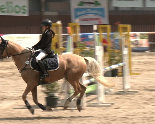 Reitturnier Marienheide-Kempershöhe 2025