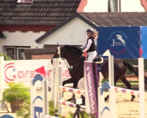 Reitturnier Behrendorf 2025