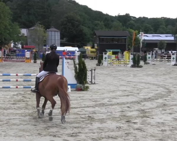 Schwerte - Gut Kückshausen 2014