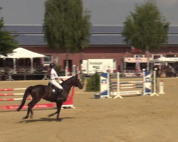 Reitturnier Seppenrade 2025