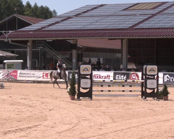 Reitturnier Ranshofen - Braunau am Inn 2025