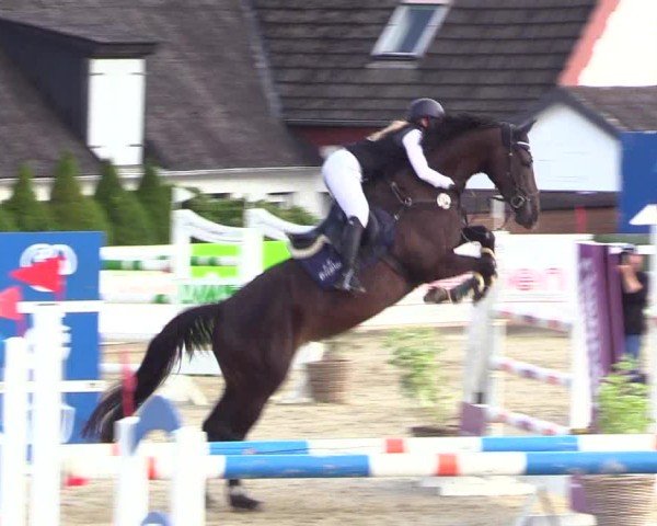 Reitturnier Behrendorf 2025
