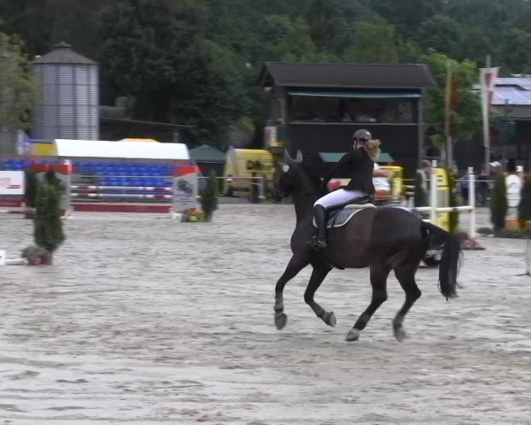 Schwerte - Gut Kückshausen 2014