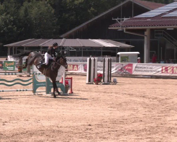 Reitturnier Ranshofen - Braunau am Inn 2025