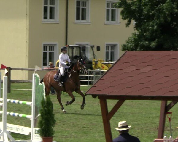 Reitturnier Niemegk / Neuendorf 2025