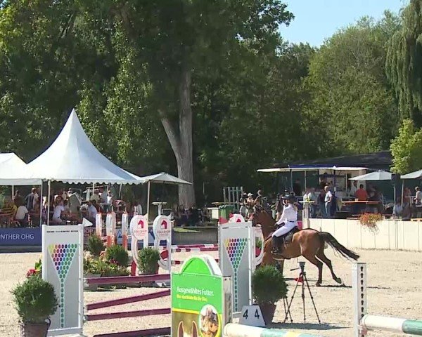 Reitturnier Grafenrheinfeld/Ufr. 2025