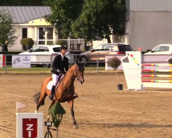 Rheinische Meisterschaften 2014