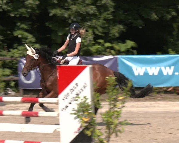 Reitturnier Marienheide-Kempershöhe 2025
