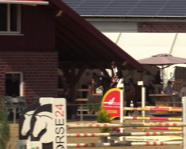 Reitturnier Seppenrade 2025