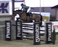 Springpferd Sikita (Dänisches Warmblut, 2009, von Stolzenberg)