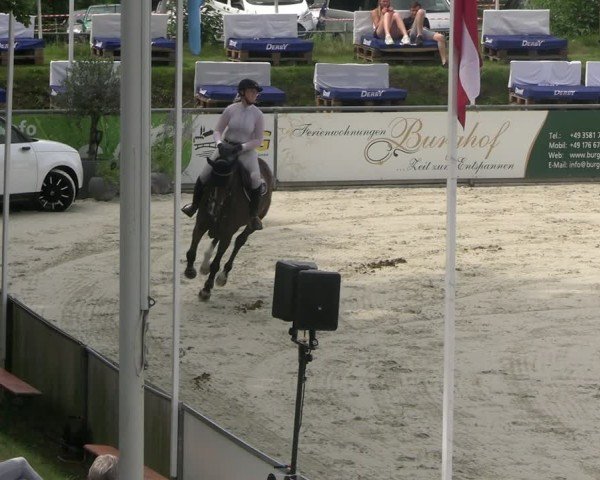 Reitturnier Görlitz 2025