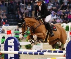 broodmare Acanthya (Hanoverian, 2006, from Adlantico As)