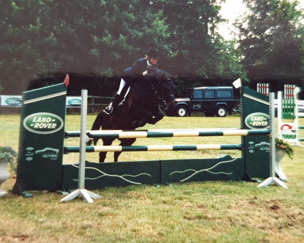 Pferd Lamiro 13 (Rheinländer, 1991, von Larome)