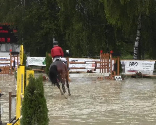 Schwerte - Gut Kückshausen 2014