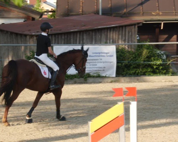 Reitturnier Heuchlingen 2025