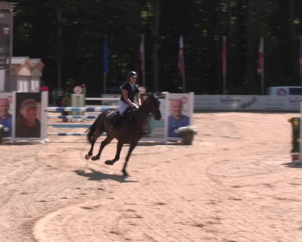Reitturnier Ranshofen - Braunau am Inn 2025