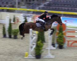 jumper Voll Süß (Hanoverian, 2011, from Vesuv 35)