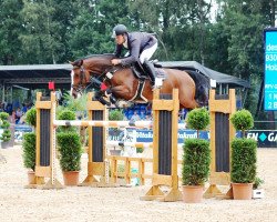 jumper de Luett 2 (Holsteiner, 2011, from Casall Ask)