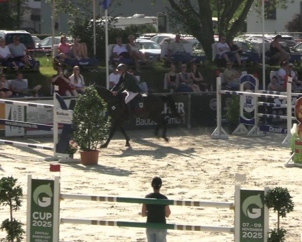 Reitturnier Görlitz 2025