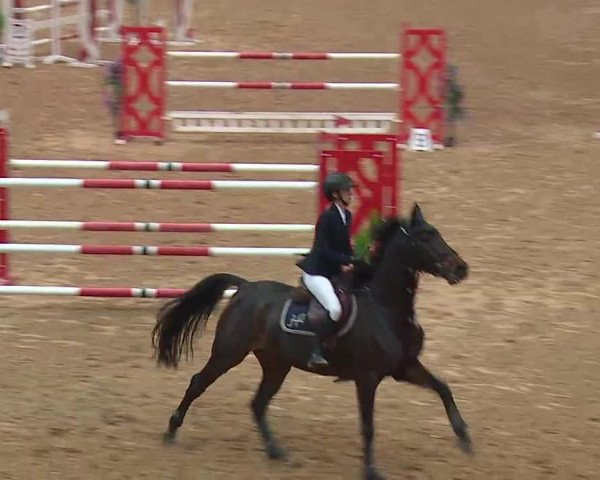 Reitturnier Kreuth/Opf. 2021