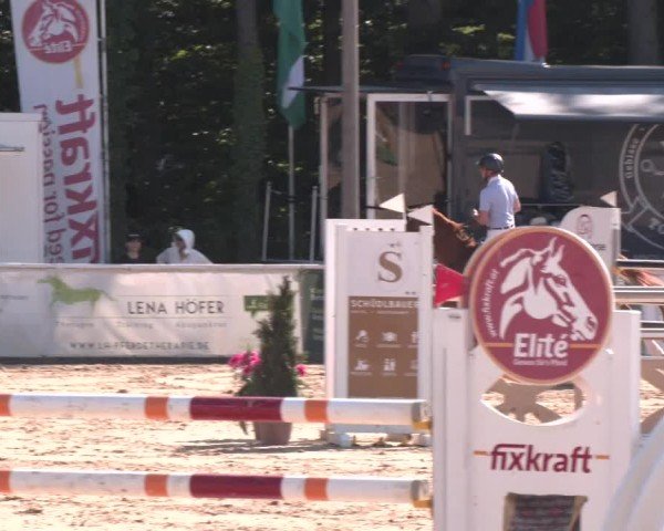 Reitturnier Ranshofen - Braunau am Inn 2025