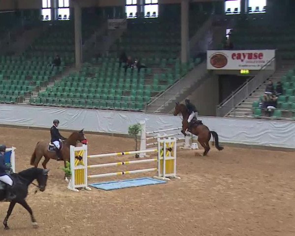 Reitturnier Kreuth/Opf. 2021
